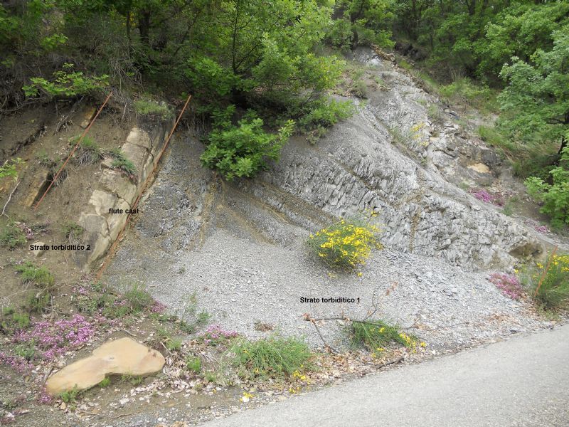 Formazione di Monte Venere